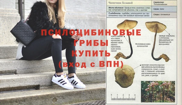 герыч Алексеевка