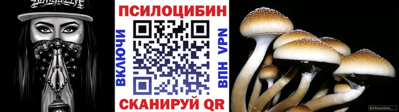 купить наркоту  Гаджиево  Галлюциногенные грибы Magic Shrooms 